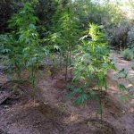 07092020messinia003
