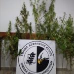 09092020kentrikimakedonia002s