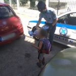 14092020dytellada006s