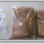 08102020larisas