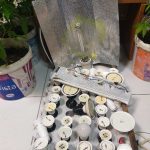 31122020thesprotia002