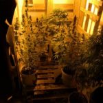 31122020thesprotia005s