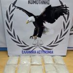 08012021anmaknark