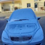 14012021allodapoi001s