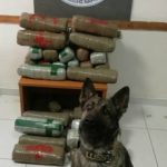 17012021ipiros001s