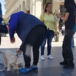 17052021gadth002