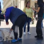 17052021gadth002s