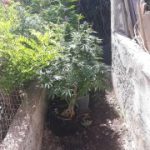 27052021ya001s