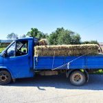 29062021diakinisi001