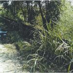 02072021thess001