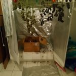 10072021dytmakft003
