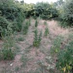 11072021xanthi002