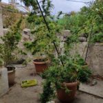 24092021mylopotamo003s