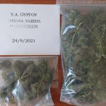 25092021tdnpyrgou003