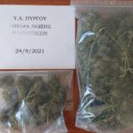 25092021tdnpyrgou003s