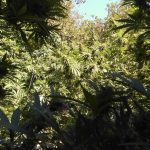 27092021narkkrhth001