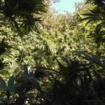 27092021narkkrhth001s