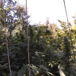 27092021narkkrhth002
