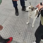 04102021zoathes002