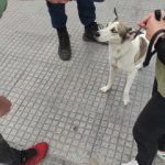 04102021zoathes002s