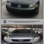 04122021thessalianark002
