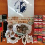 22122021 messinianarkwtikasilipseis