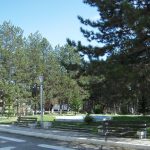 grvena_020a