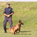 k9skyloi10s