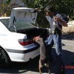 k9skyloi23