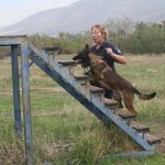 k9skyloi4