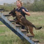 k9skyloi44