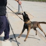 k9skyloi5
