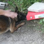 k9skyloi6