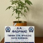 10022022kanaviflorina