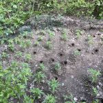23042022kentrikimakedonia002