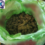 06052022narkotthess002
