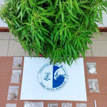 11062022narkotikamessinia