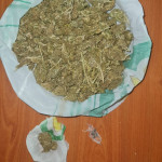 20062022narkxios