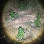 25062022kannavidytikh001