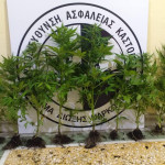 25062022kannavidytikh003