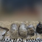12072022kozani