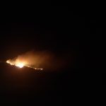 23072022vaigai003