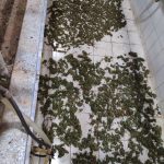 24062022narkotikakriti004
