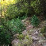 03082022fyteiasterea006