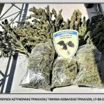 17082022trikala