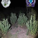 05102022eglimatikiomadathes004