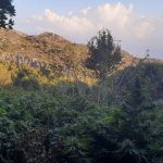 19092022fyteiakrhth002