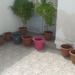 27082022narkotargolida001