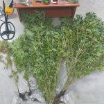 27082022narkotargolida002