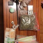 28092022parousiashasfaleia002
